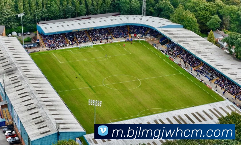 AI Risk Control